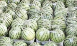 蔚县吃瓜事件最新爆料,最新爆料揭示惊人内幕