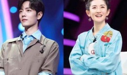 谢娜和肖战最新爆料视频,幕后故事与精彩瞬间